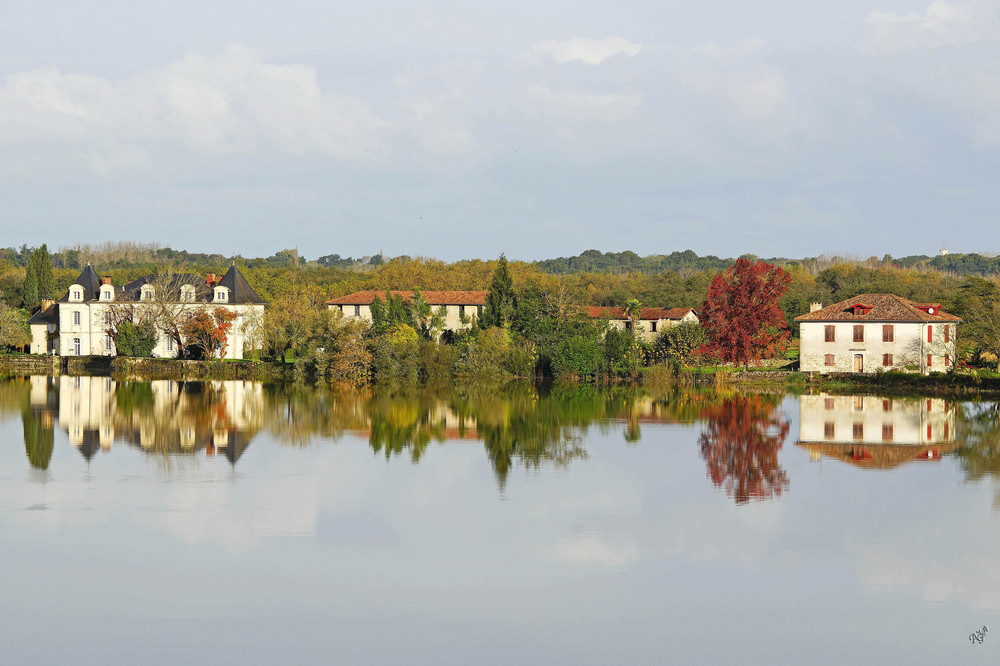 Reflets d'automne