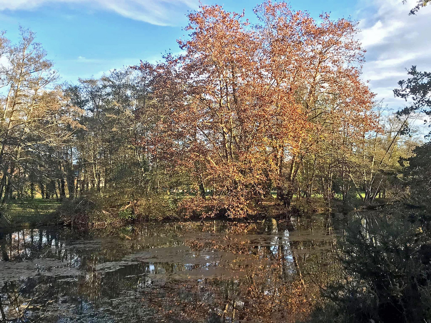 reflets d'automne ! *