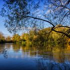 Reflets d'automne