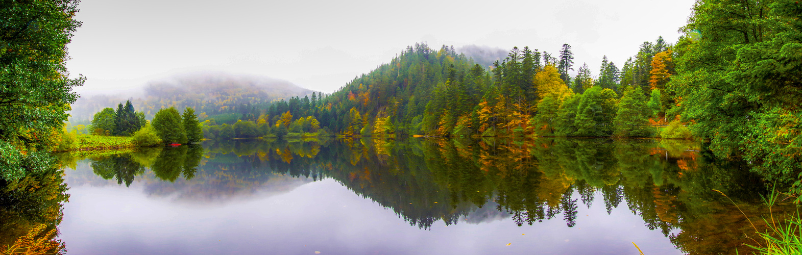 Reflets d'automne