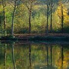 Reflets d'automne