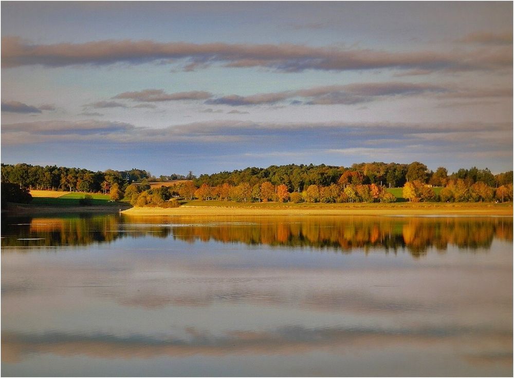 reflets d'automne