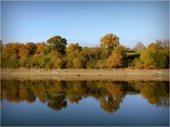 reflets d'automne