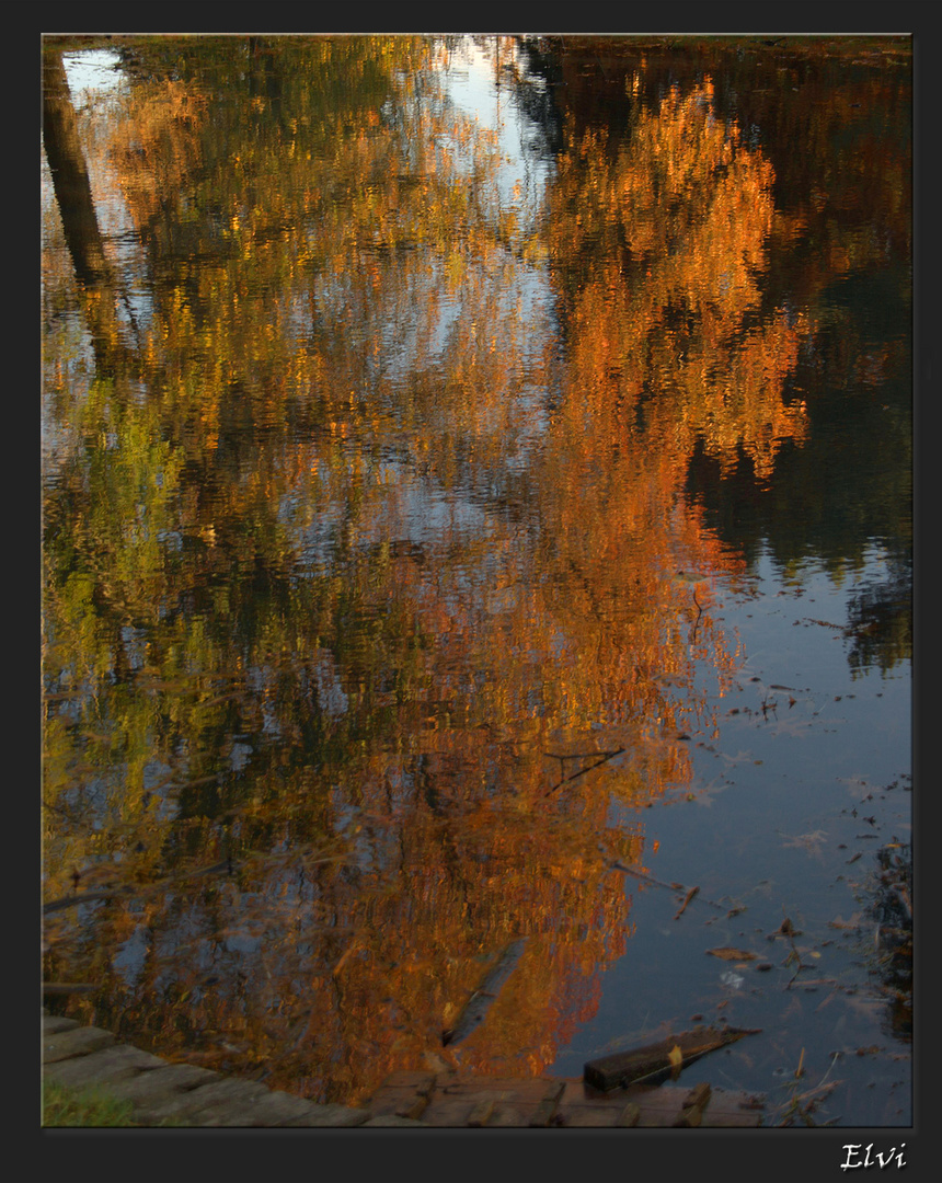 Reflets d'automne