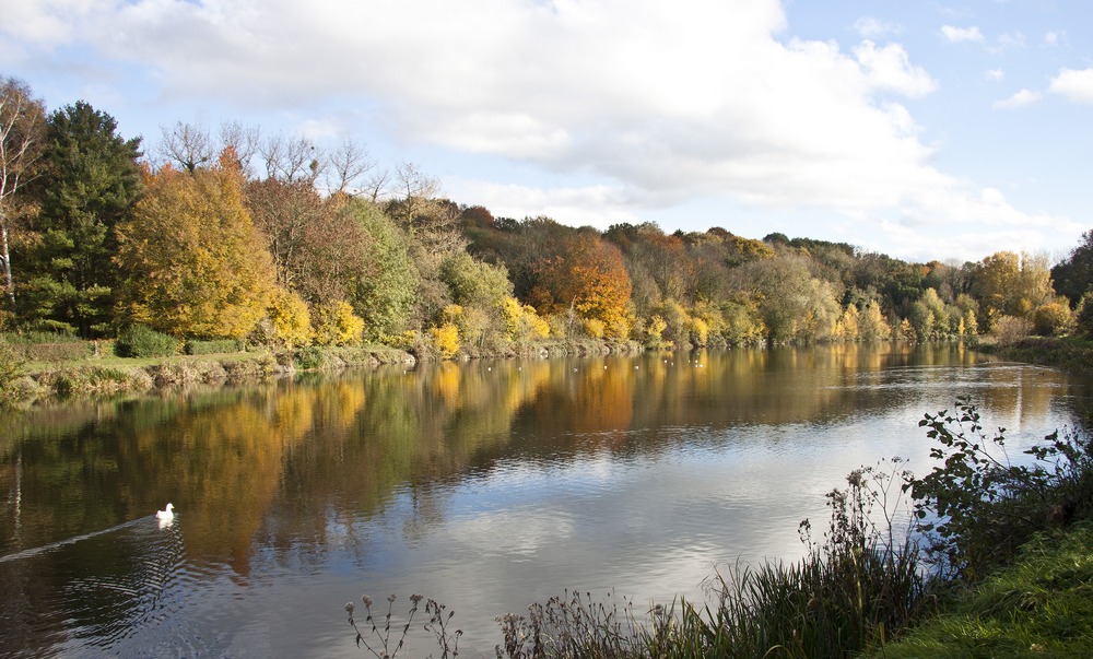 Reflets d'automne