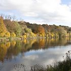 Reflets d'automne