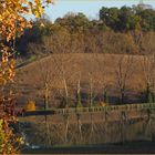 Reflets d’automne dans le Gers