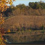 Reflets d’automne dans le Gers