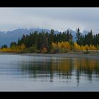 Reflets d'automne