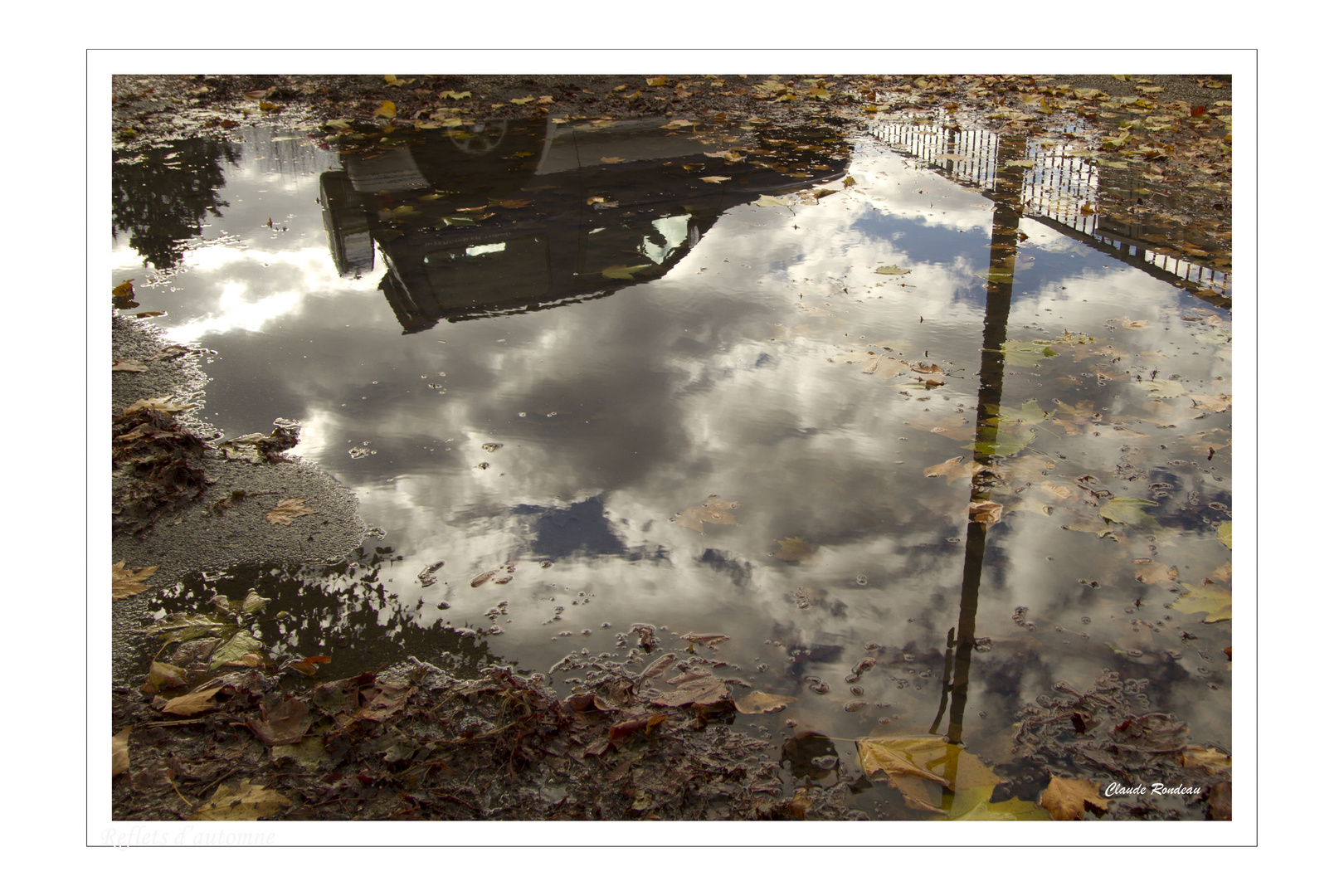 Reflets d'automne