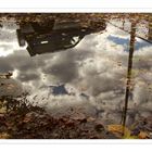 Reflets d'automne