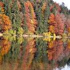 reflets d'automne