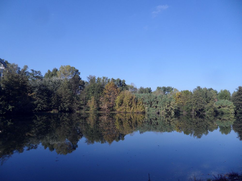 Reflets d'automne en Cévennes