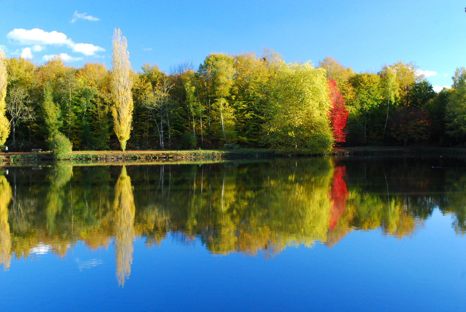 Reflets d'automne