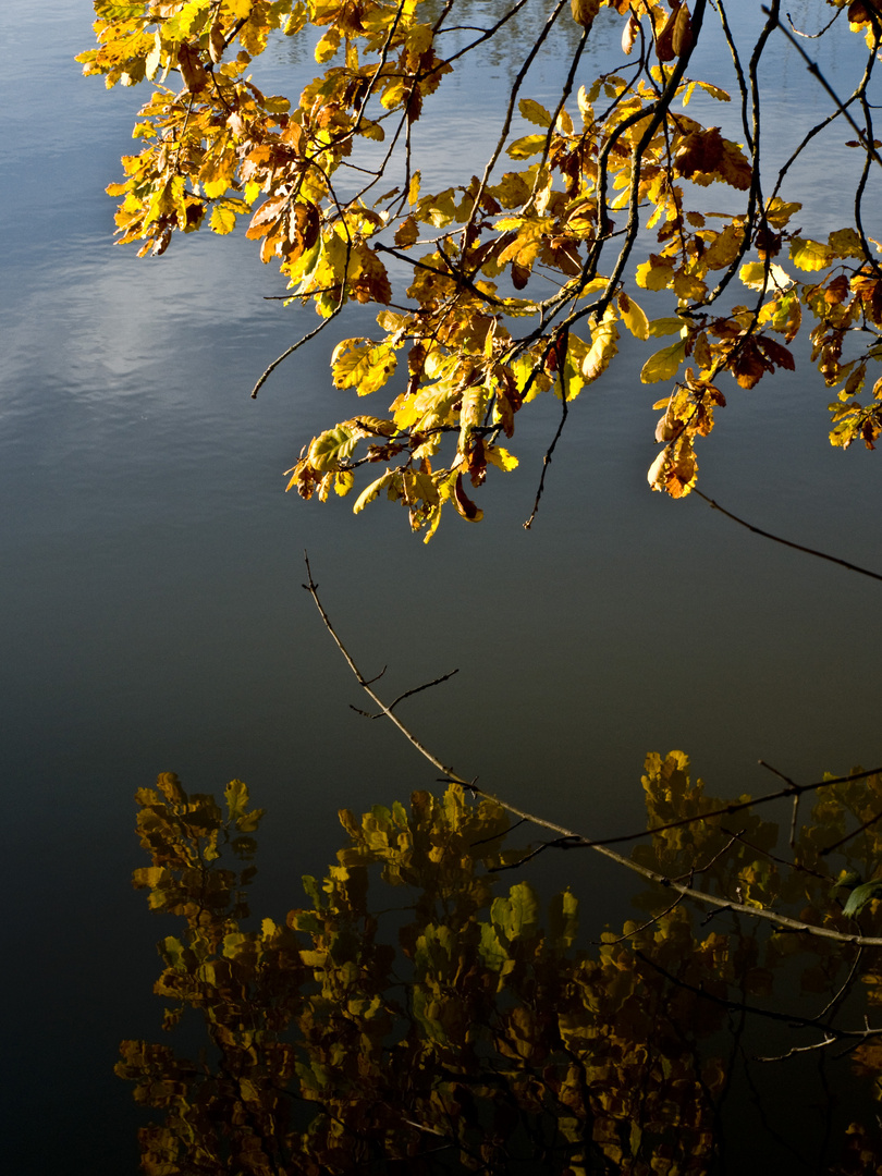 Reflets d’automne -- Herbstspiegelungen