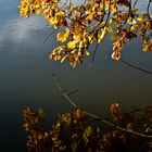 Reflets d’automne -- Herbstspiegelungen