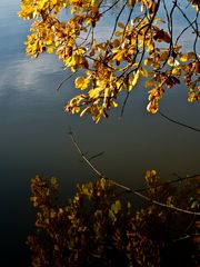 Reflets d’automne -- Herbstspiegelungen