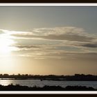 Reflets de Camargue