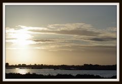 Reflets de Camargue