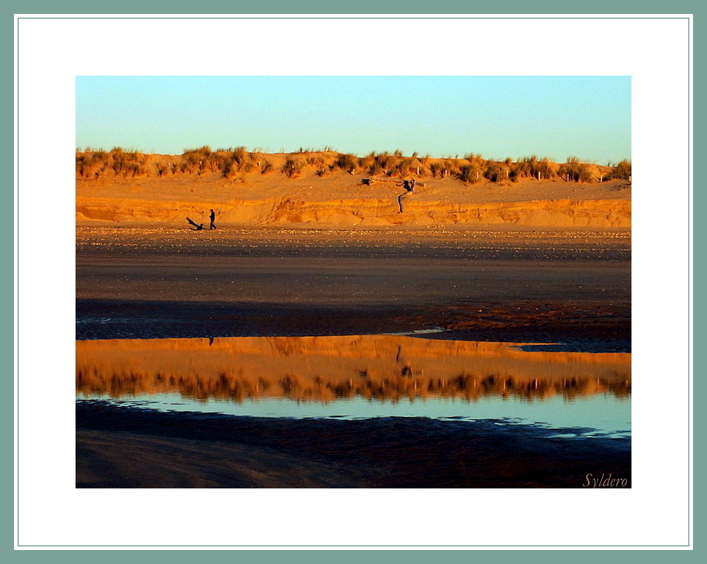 Reflets de dune