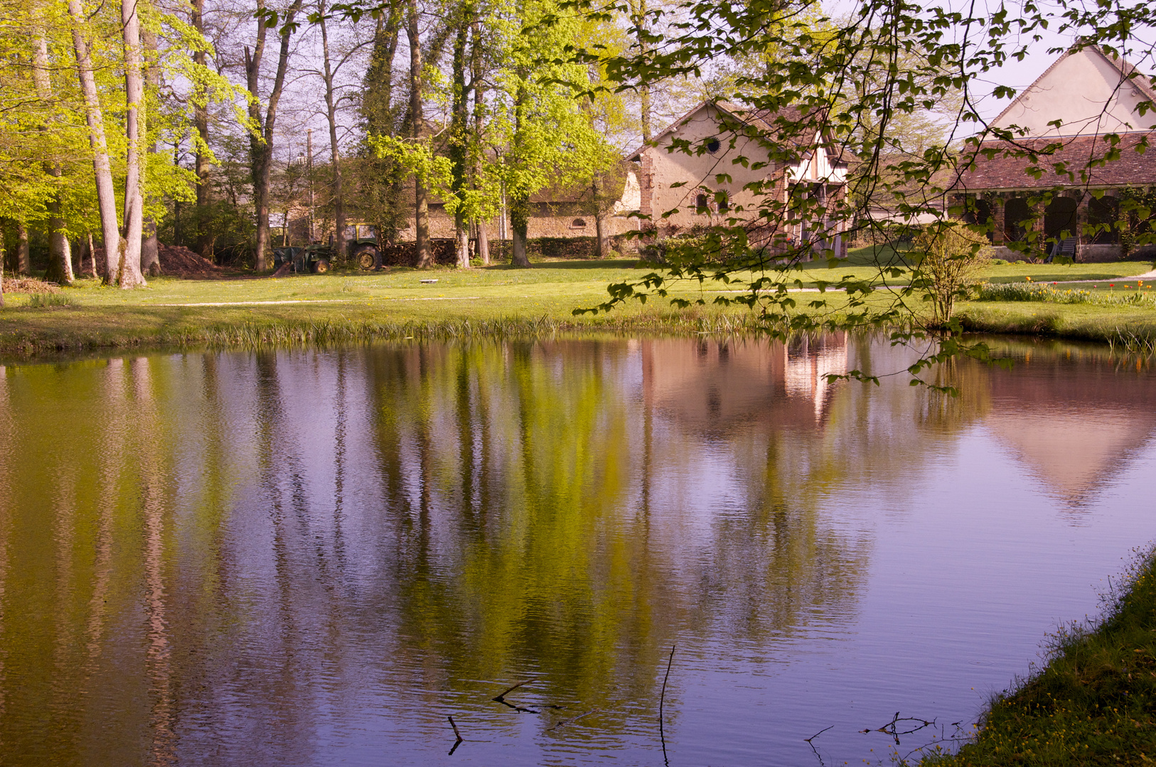 Reflets de la mare