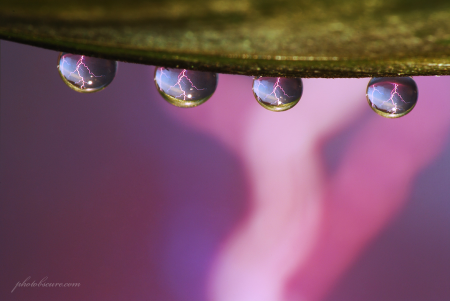 reflets de l'Univers