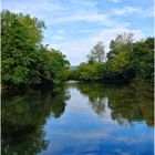 Reflets de Sorgue (2)