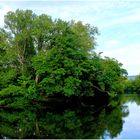 Reflets de Sorgue