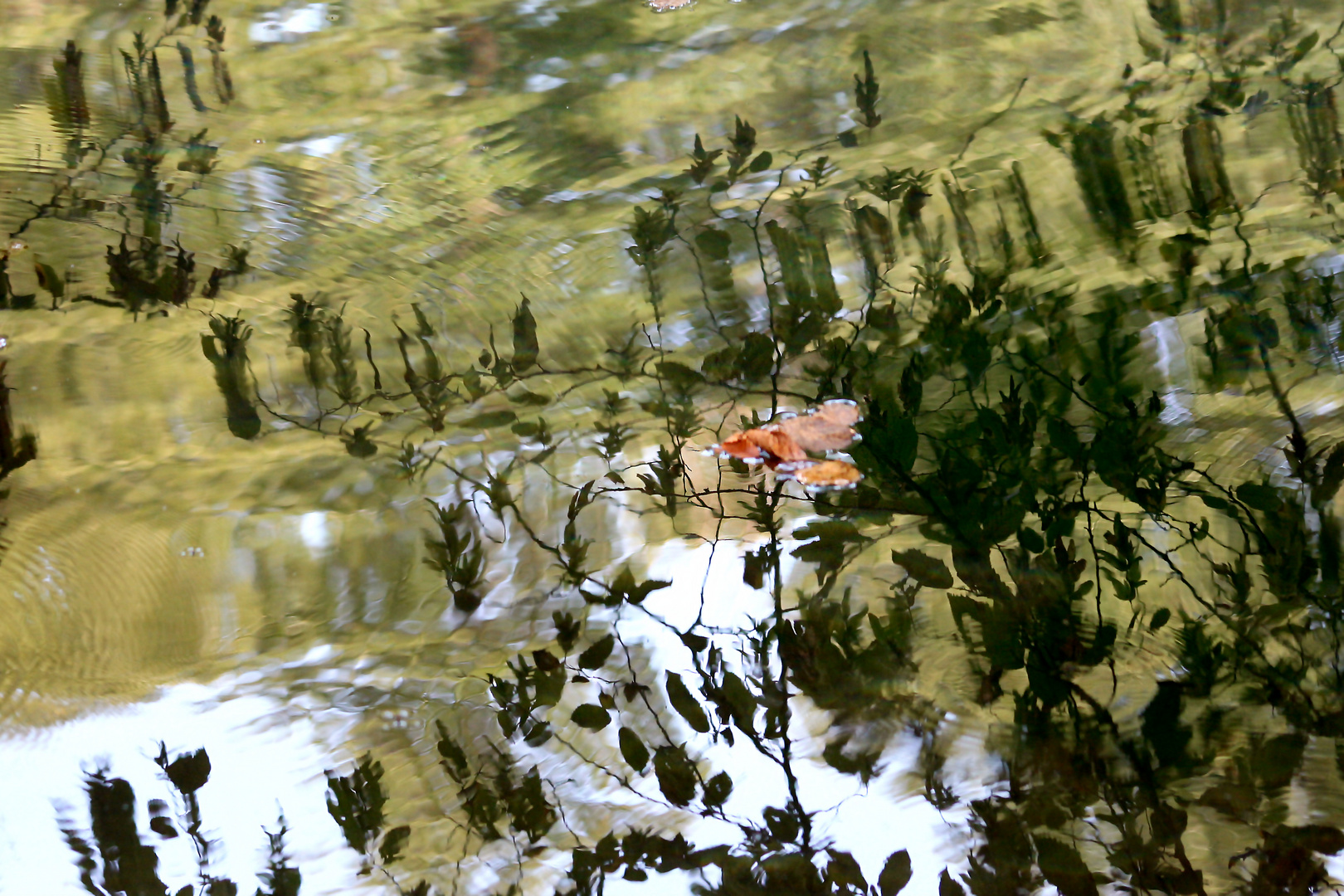 REFLETS D'EAU