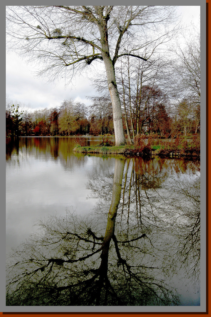 reflets d'hiver