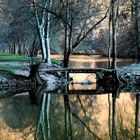 reflets d'hiver sur la Charente