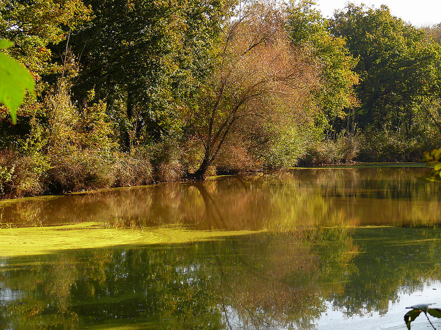 reflets d'octobre