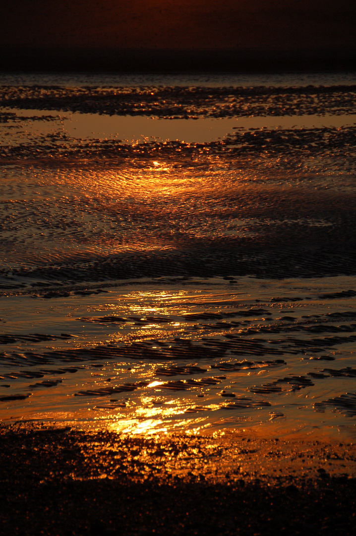 Reflets d'or en Baie de Somme