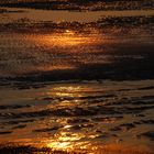 Reflets d'or en Baie de Somme