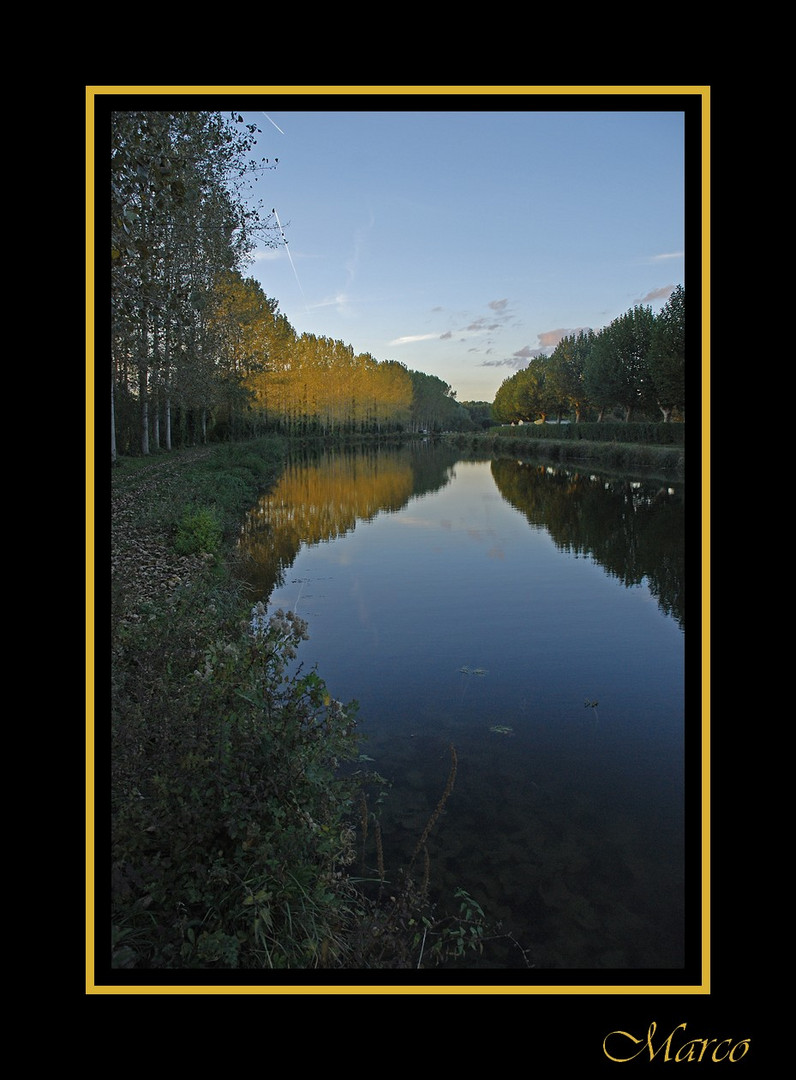 reflets dorée