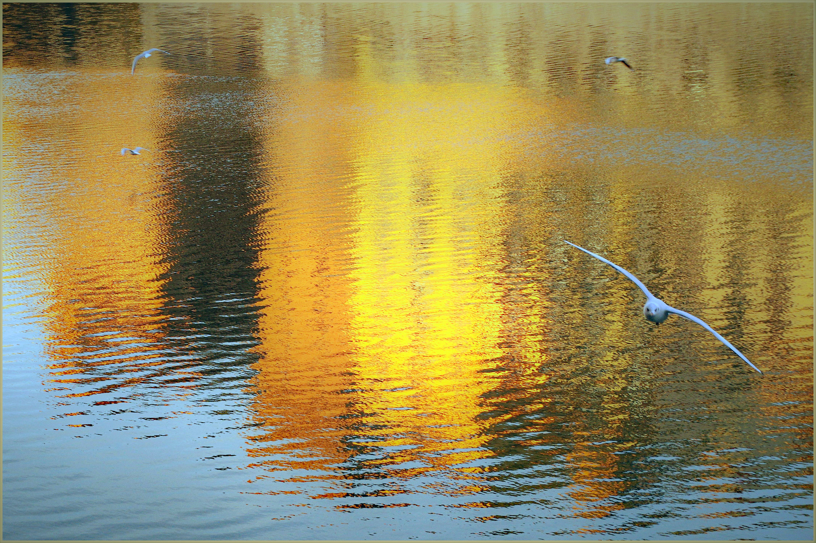 reflets dorés d autrefois ....