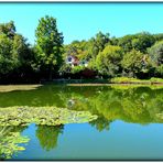 REFLETS DU CHALET.