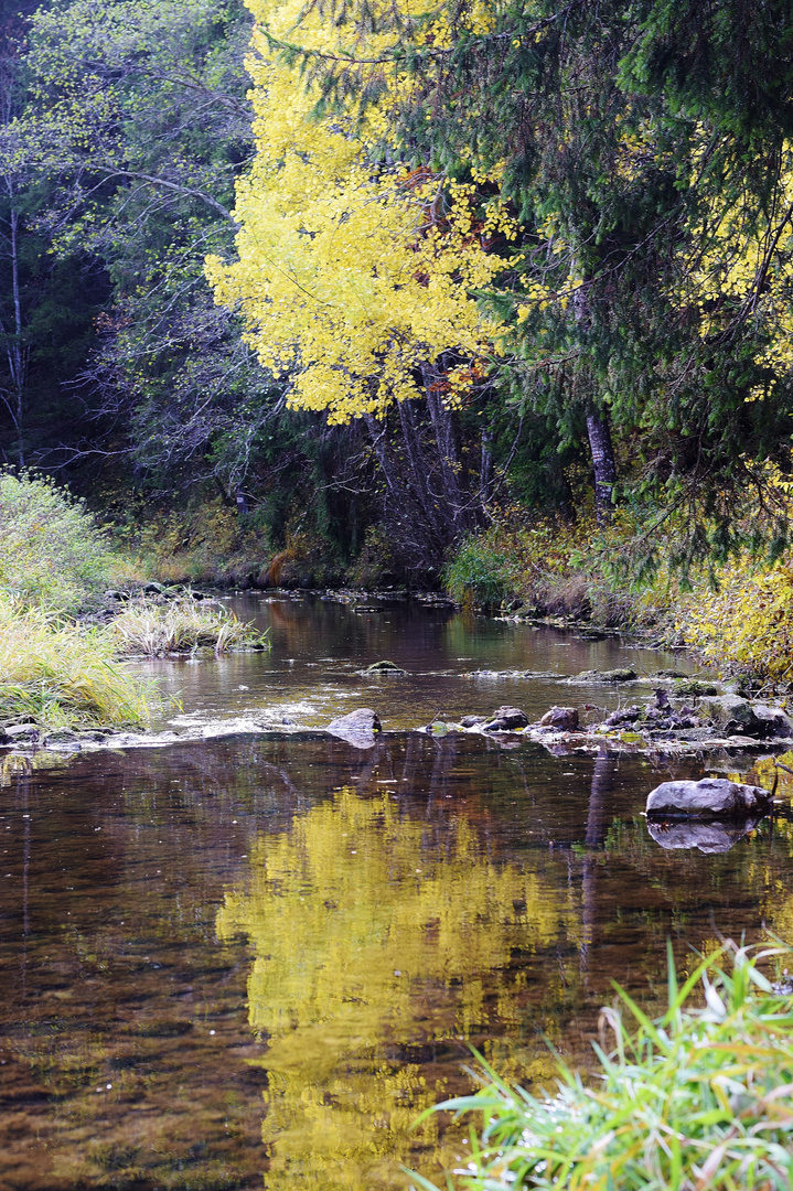 Reflets du dimanche.