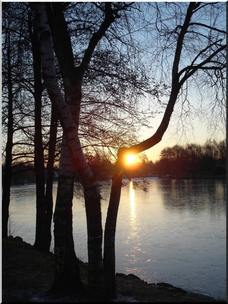 Reflets du matin.