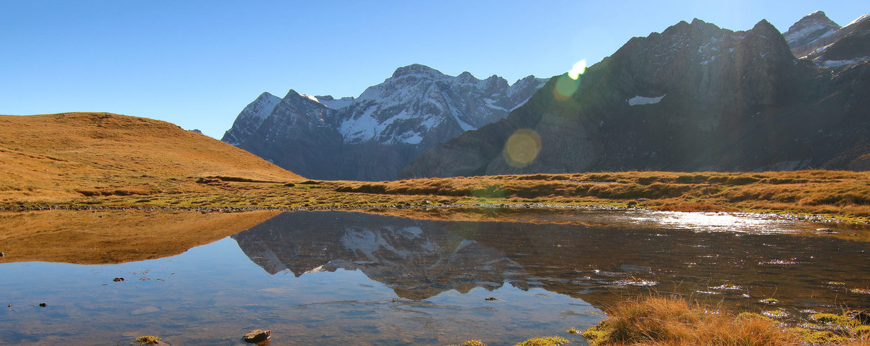 Reflets du matin