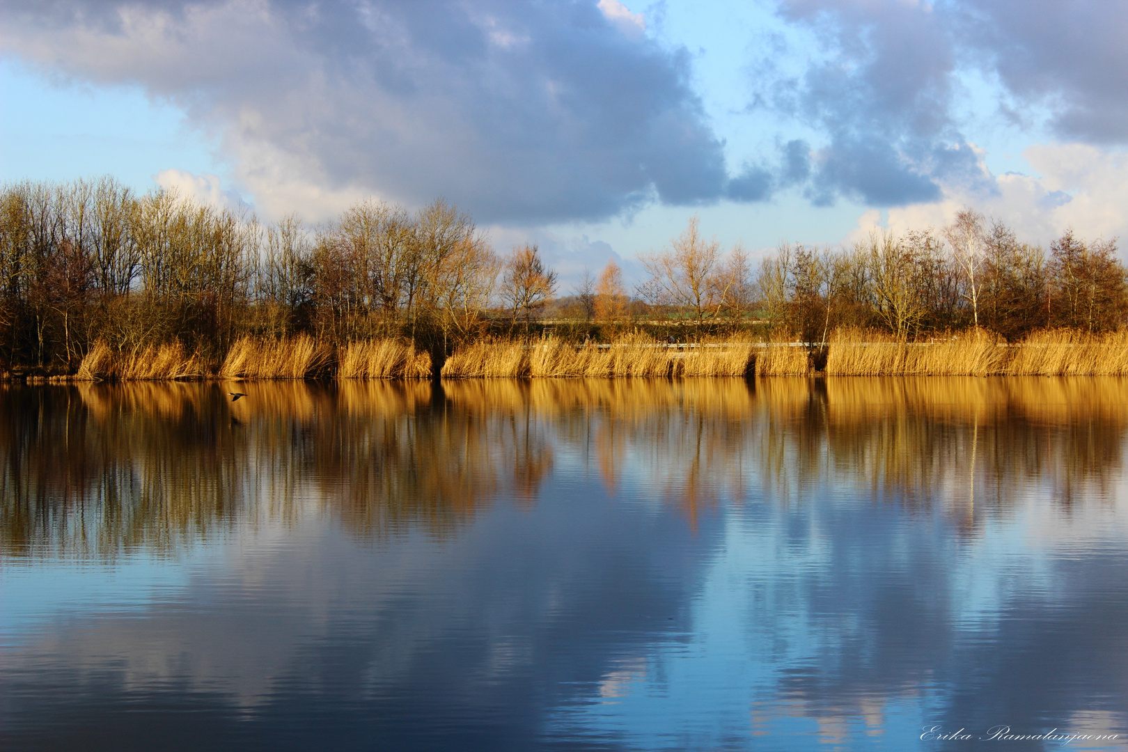 Reflets et couleurs