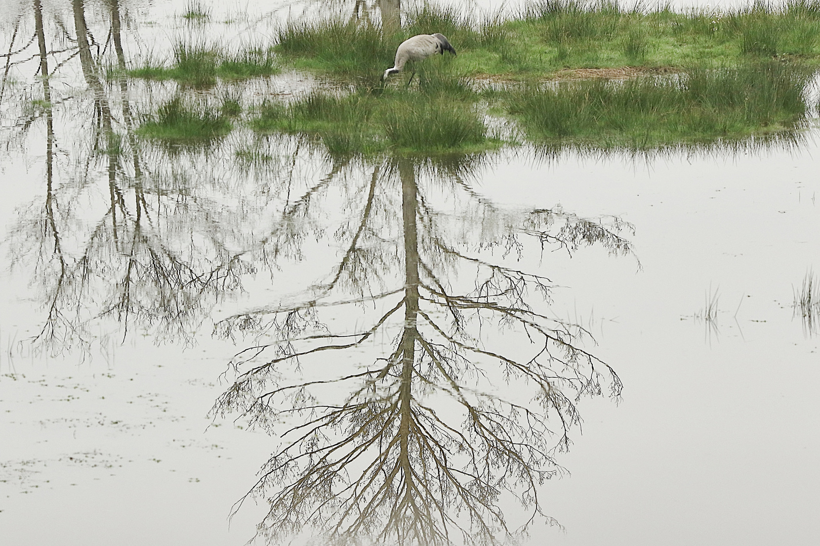 reflets !