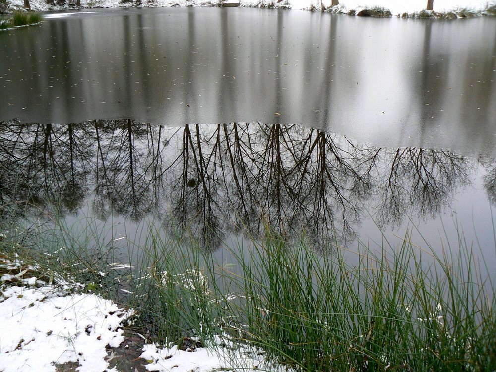 Reflets glacés .