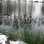 Reflets glacés .