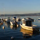 Reflets - Le Port du Brusc