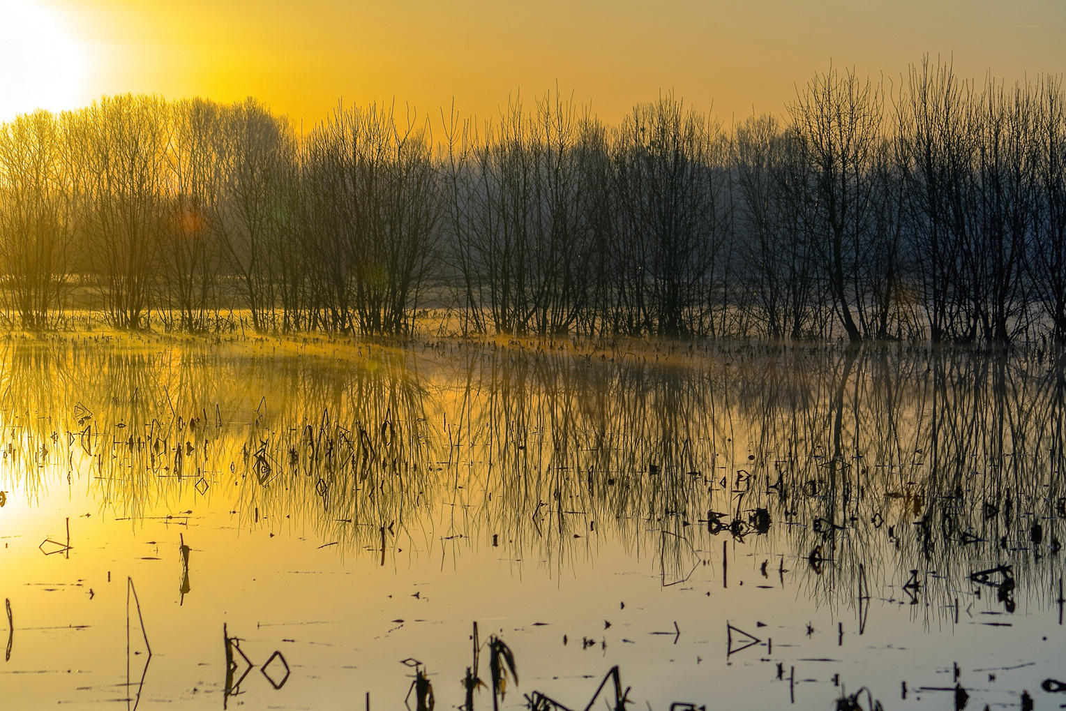 Reflets matinaux