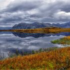 Reflets matinaux