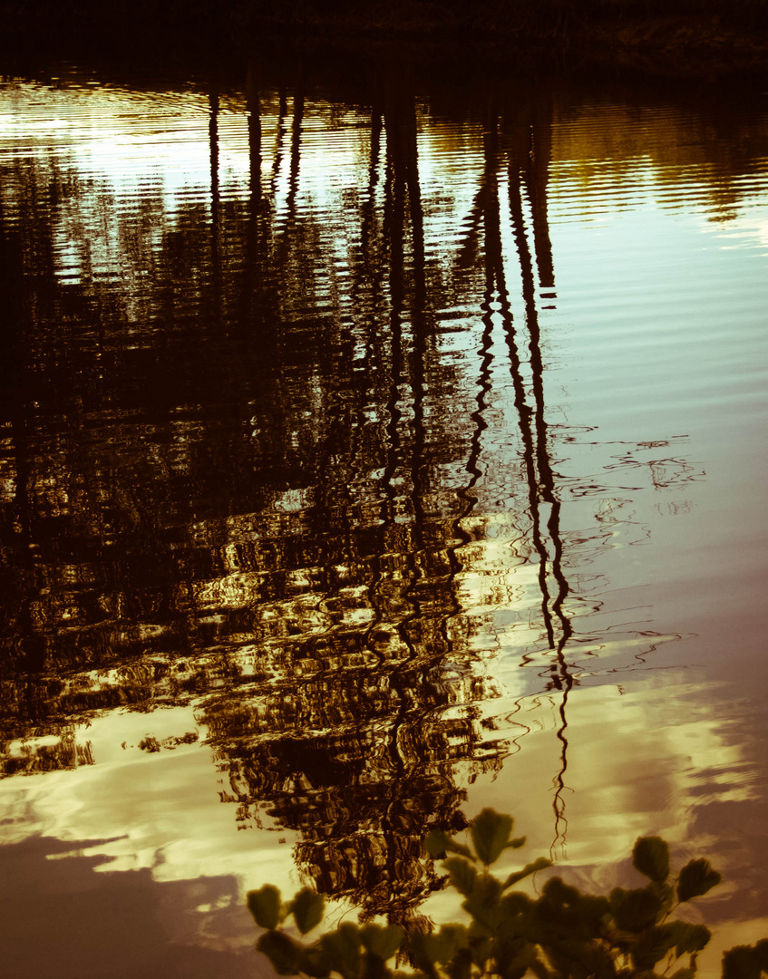 Reflets soleil couchant