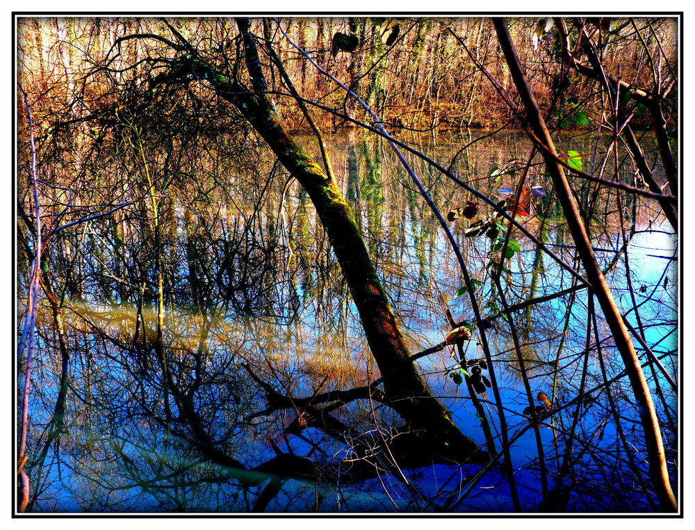 REFLETS SOUS CIEL BLEU ;