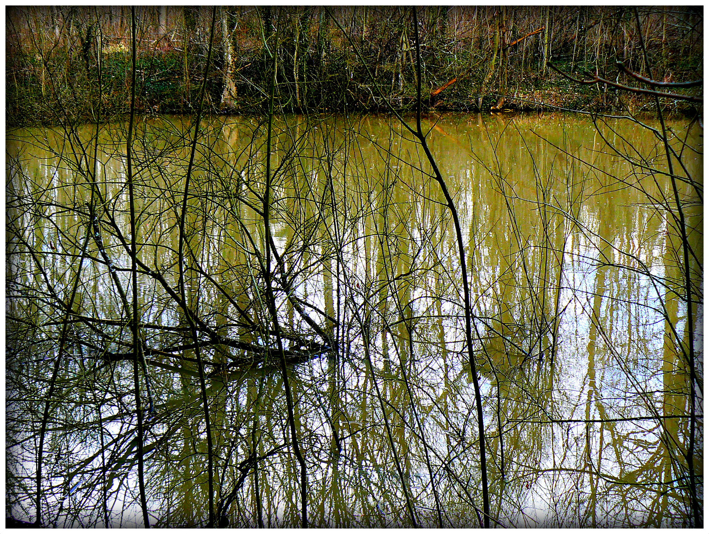 REFLETS SOUS CIEL GRIS.